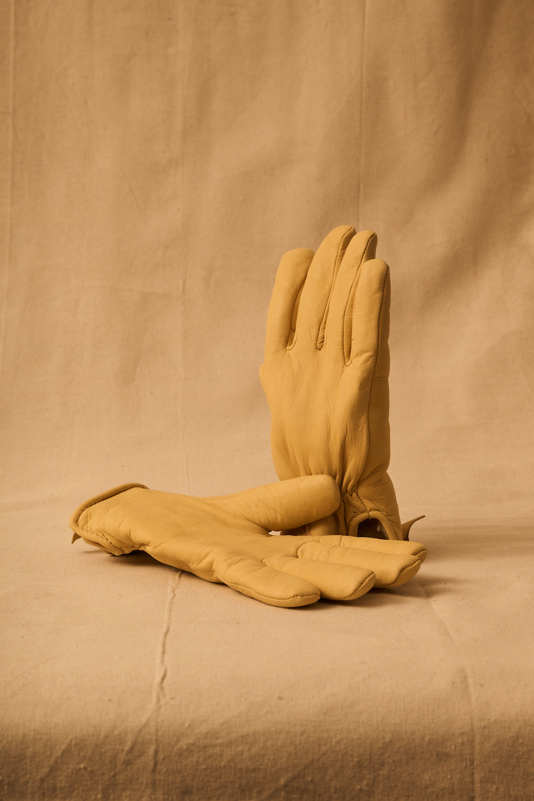 ARCHIVIO - KEMO SABE Warm Lining Goat skin Cattleman gloves