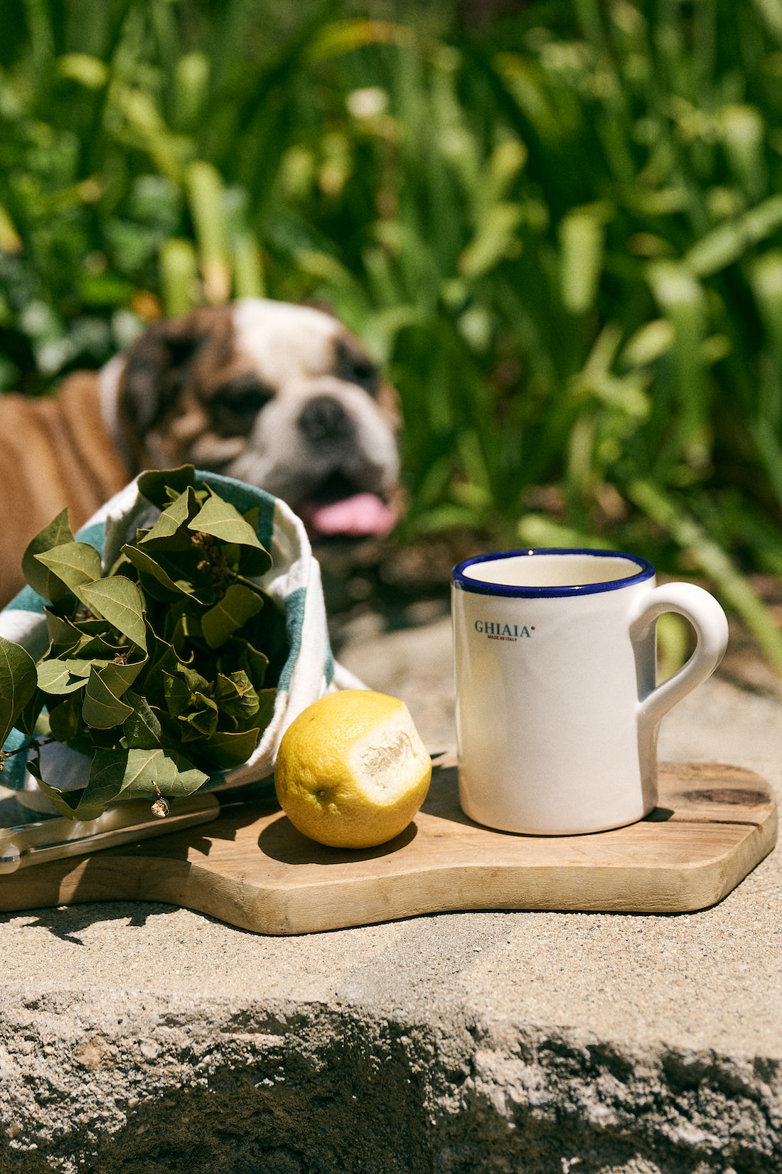 Canarino Tazza Mug