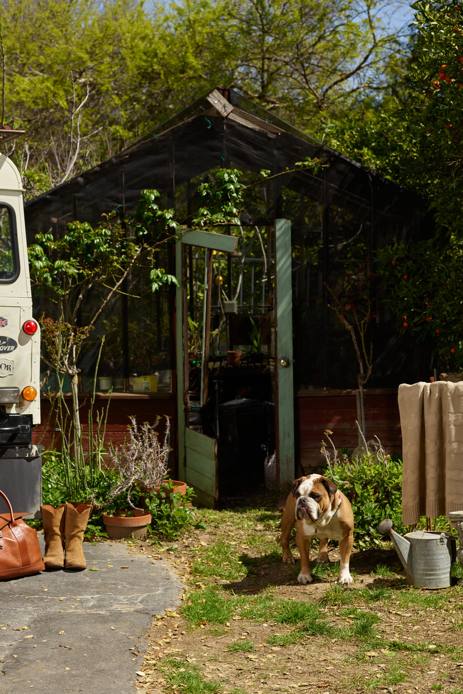 Barca Cotton Treccia Cable Blanket